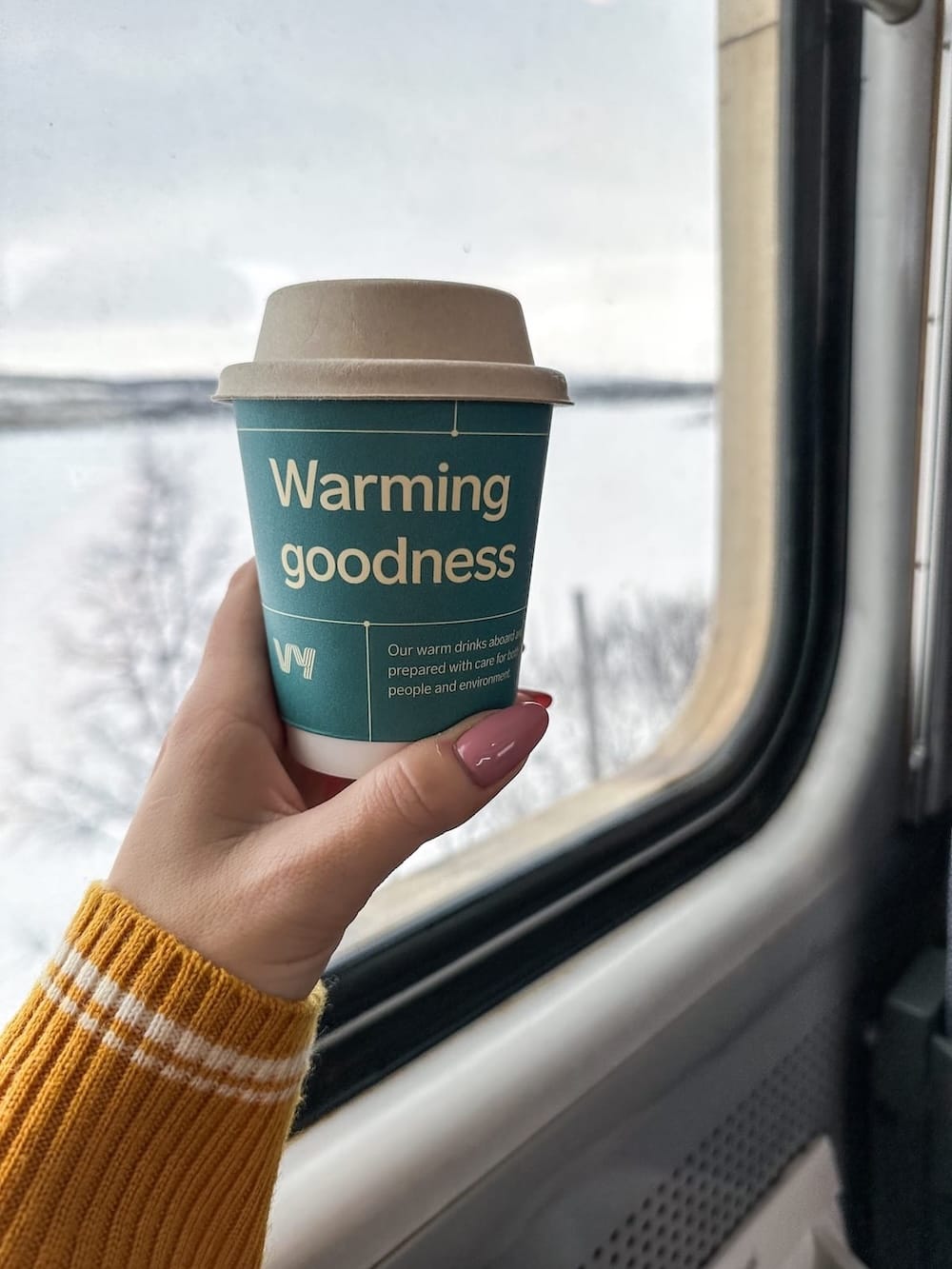 a coffee in a blue cup in a woman's hand on a train